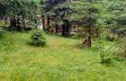Teren intravilan 1.370 mp Muntele Băișorii, central  - 3