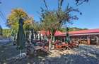 Oportunitate de business: complex turistic cu restaurant, terase si pensiune – S