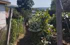 Teren intravilan 2828 mp+autorizatie casa-anexe-livada-Dorolea - 5