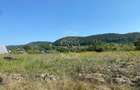 Teren 4100 mp - oportunitate investitie - Bistrita Zona Ranahum - 7