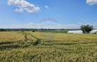 Teren 15,000mp Salcea-Prelipca, Suceava - 7