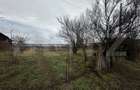 Teren intravilan, 4000 mp, zona Calnic - 1