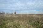 Teren extravilan agricol 5792 mp Popoveni - 1