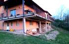 Gospodarie, casa cu 5 camere si 8272 mp teren, in Oarda - 4