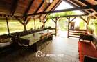 Casa P+M teren 770 mp - Corunca - Zona pitoreasca - 7