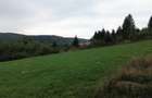 TEREN PREMIUM 5.023 MP ÎN VORONEȚ | BUCOVINA | ZONA MĂNĂSTIR - 20