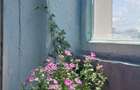 Apartament 2 camere bloc reabilitat Parc Drumul Taberei - 5