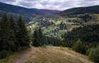 Teren de vanzare în inima Apusenilor –  6.500 mp Arieșeni - 8