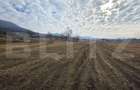 Teren extravilan de vanzare, 72 de arii, zona Șieu Măgheruș - 2
