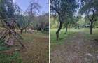 Teren de vacanță 5600 mp cu cabană, Utilitaiile Căsoaia jud Arad - 6