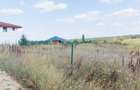 Teren intravilan | 800 mp | Bălteni - Periș - 1