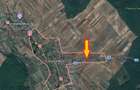 Crevedia Mare, Jud. Giurgiu, teren 5000 mp, deschidere 20 m la DJ 601 - 1