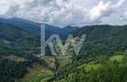 Teren de vanzare RUCAR -   ARGES - 6