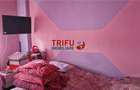 Apartament 2 camere zona Flips - 4