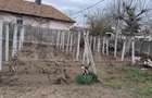 Teren intravilan de vanzare, 400 mp, Lascar Catargiu - 4