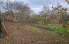 TEREN INTRAVILAN  STRADA MIRCEA VODA-2000MP, DESCHIDERE STRADALA 21 MP - 2