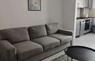Apartament 2 camere HILS Brauner - 4
