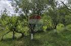 Casă cu teren generos de 2.800 mp la 38 km în satul Elciu - 15
