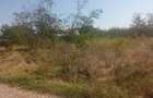 Teren 100Omp, Clinceni, Str Rozelor - 5