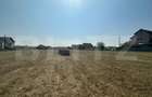 Teren intravilan, 9873mp, zona Cetate - 1