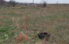 Teren intravilan, Palazu Mare - 306mp - 5