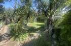 Casa plan parter, 170 mp, zona Micro 17 - 17