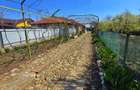 Casă 4 camere, 685 mp teren, renovată 2011 – Mănești, Zalhanaua - 50
