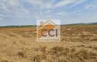 Teren intravilan– 50.000 mp, Bacău, Șoseaua Hol - 6