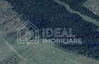 Pădure matură 12,71 ha - Mag, jud. Sibiu - potențial exploatare 2025 - 1