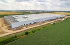 Inchiriere depozit/hala/spatiu industrial Bolintin Deal - A1 - KM23 - 7