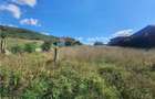 Parcela de teren 1840 mp cu front dublu - str.Viilor  -Gusterita - 15