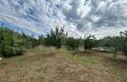 Teren intravilan, 6796 mp, zona Crangurile de Jos - 7