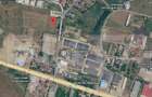 Teren intravilan, 15000 mp, zona Letcani - Zeelandia - 1