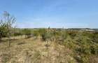 Teren extravilan de vanzare, 5.800 mp, zona Aiud - 2