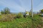 Lot de teren in com. Vanatori, sup.500 mp - 7