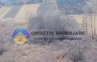 Teren INTRAVILAN 10.515 mp - BODEȘTI, judetul NEAMȚ - 10