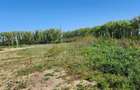 Teren 18 hectare pentru exploatare nisip și pietriș | Șcheia, r&# - 4
