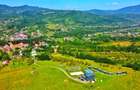 Glamping Flandra | Swimming pool | Pump track | Transfagaran | - 32