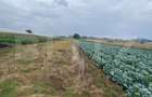 Teren de vanzare, 4700 mp, Strada Brazilor