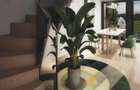 Case de vanzare Ultracentral Arad, AVALON ONE - 5