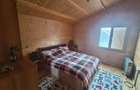 Oferta! Vând domeniu unicat (1 Ha) cu casă și livadă – Drăghiceanu, Giurgiu | Op - 3