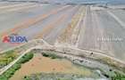 Teren agricol, 5HA, comasat, drum acces, Cateasca - 8