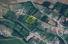 Rachitova, Casa 8 Incaperi, 3800mp Teren, Usor Negociabil - 29