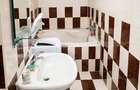 Duplex situat pe bd. Unirii, mobilat, are sauna si terasa - 7