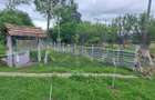 VANZARE CASA | TEREN 2.500 MP | LIVADA SI GRADINA | COMUNA BEUCA, TELEORMAN - 7
