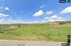 Teren extravilan 2900mp și 14ml front zona Salistea Noua - 1