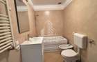 Apartamentul cu 2 camere +pod de vanzare in zona Dambovita, Timisoara - 8