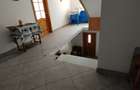 Casa mare +teren > 2000 m2     8dorm+ 3 bai - 6