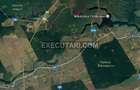 CALDARUSANI MANASTIRE - Teren extravilan - 27 HECTARE - 4