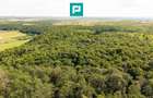 TEREN AGRICOL EXTRAVILAN  22.900 MP LIPOVA - 8